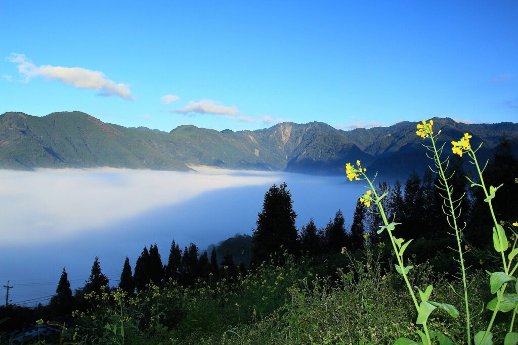 Guanwu bicycle rental guide: wooded mountain landscape